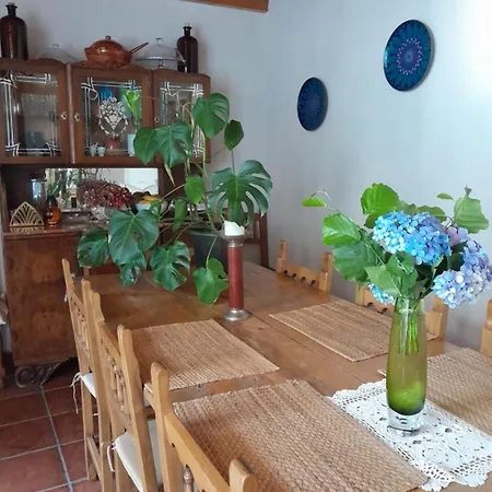 Casa Licerio ゲストハウス