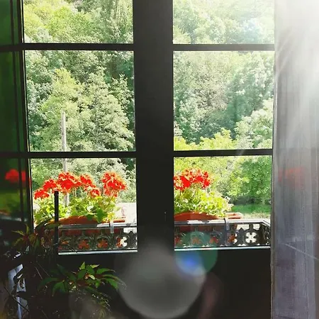 Casa Licerio 3* Samos