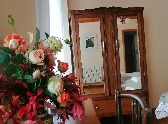 Casa Licerio ゲストハウス