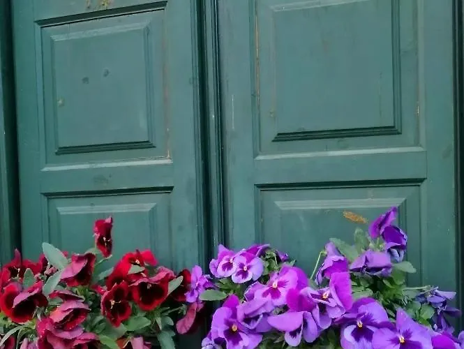 Casa Licerio Gasthuis Samos