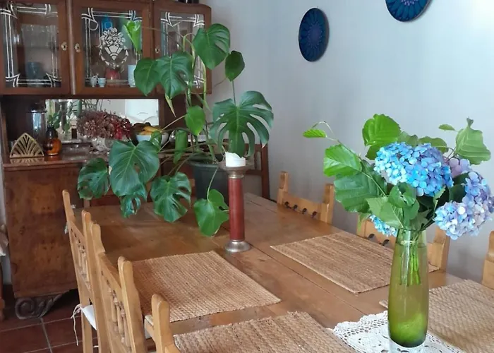 Casa Licerio ゲストハウス