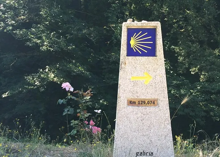 Casa Licerio ゲストハウス