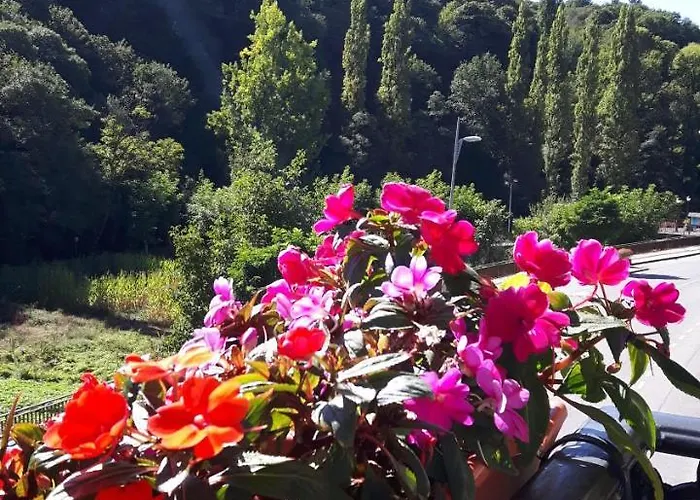 Casa Licerio ゲストハウス 3*