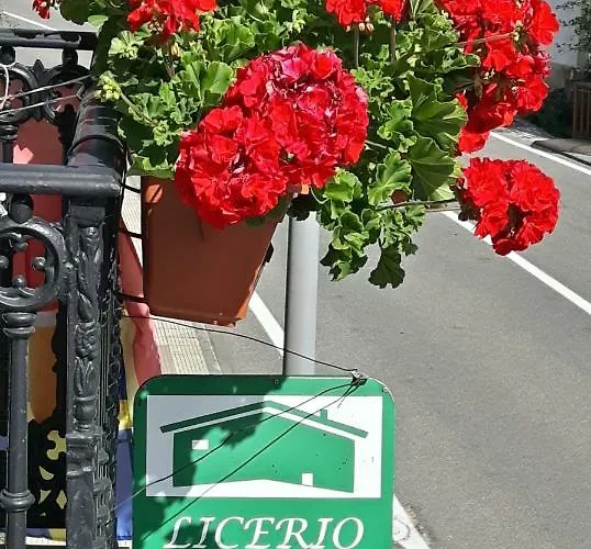 Casa Licerio サモス